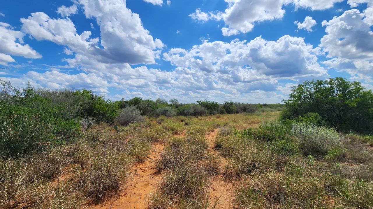 PT OF TRACT 29 La Moca Ranch - Photo 7 of 22