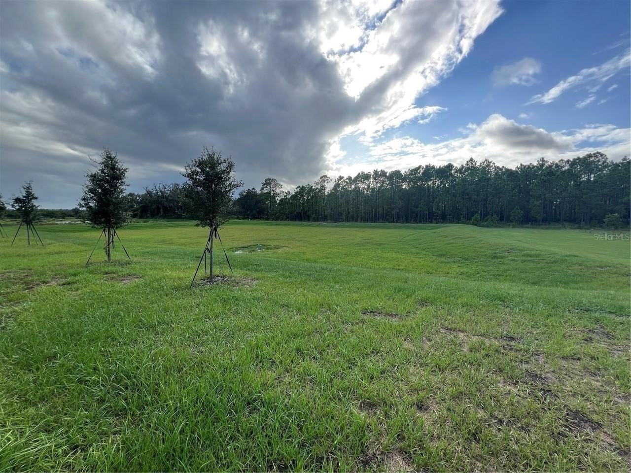 2655 Angel Falls Dr - Photo 5 of 15