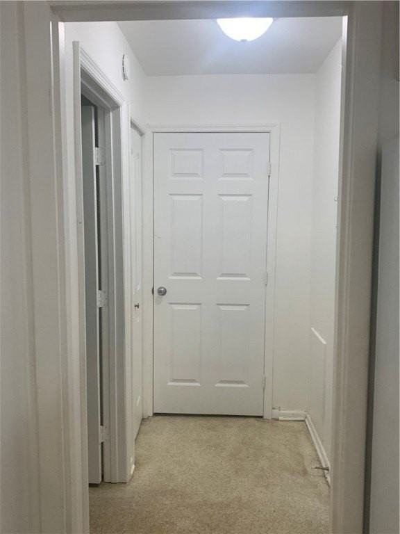 706 19th St Apt 5 #5 - Photo 6 of 13