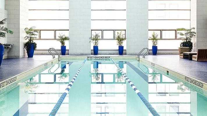 Gold St #4113 - Photo 4 of 19