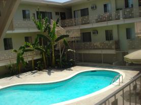 Tropical - A & L Associates, LLC - Photo 1 of 1