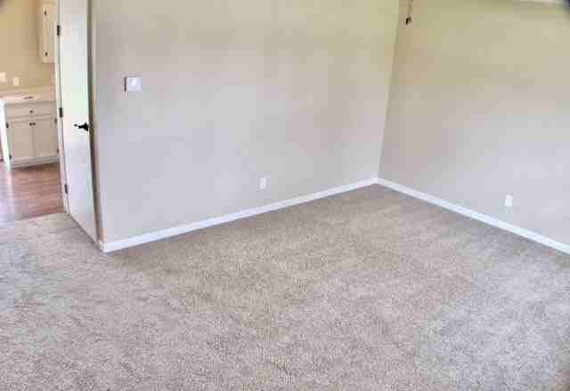 1115 Poplar St - Photo 3 of 10