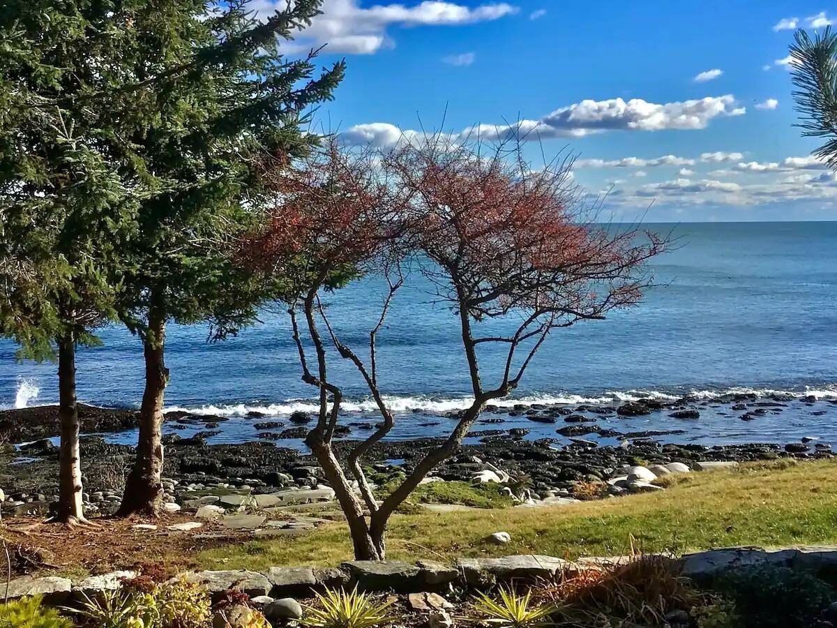 269 Maine #1 - Photo 5 of 35