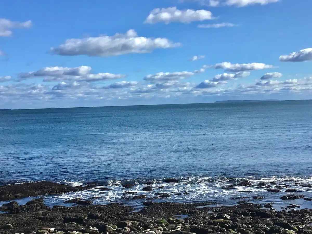 269 Maine #1 - Photo 6 of 35