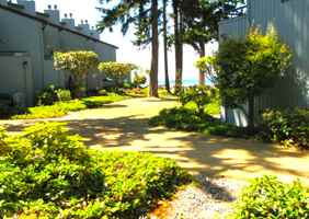 featured image of 7806 Birch Bay Dr #209