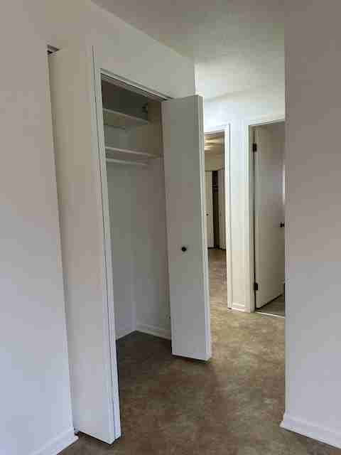 307 W Elizabeth St #307 - Photo 5 of 15