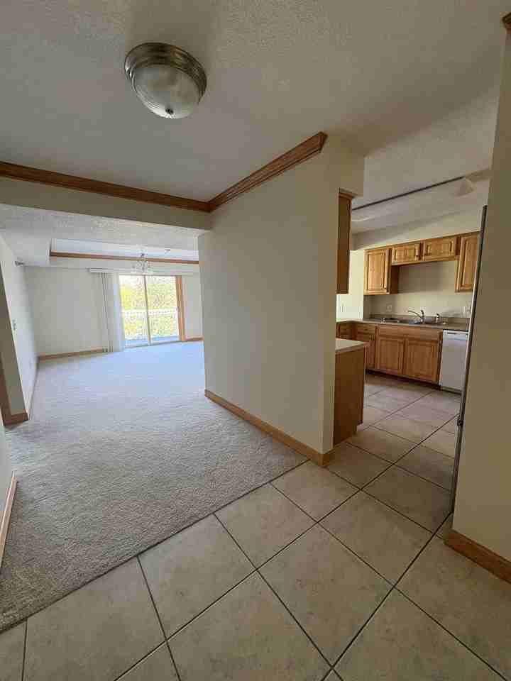 Shelly Rose Apartments - Photo 2 of 18