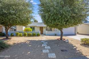 14225 N 39th Way - Photo 1 of 1
