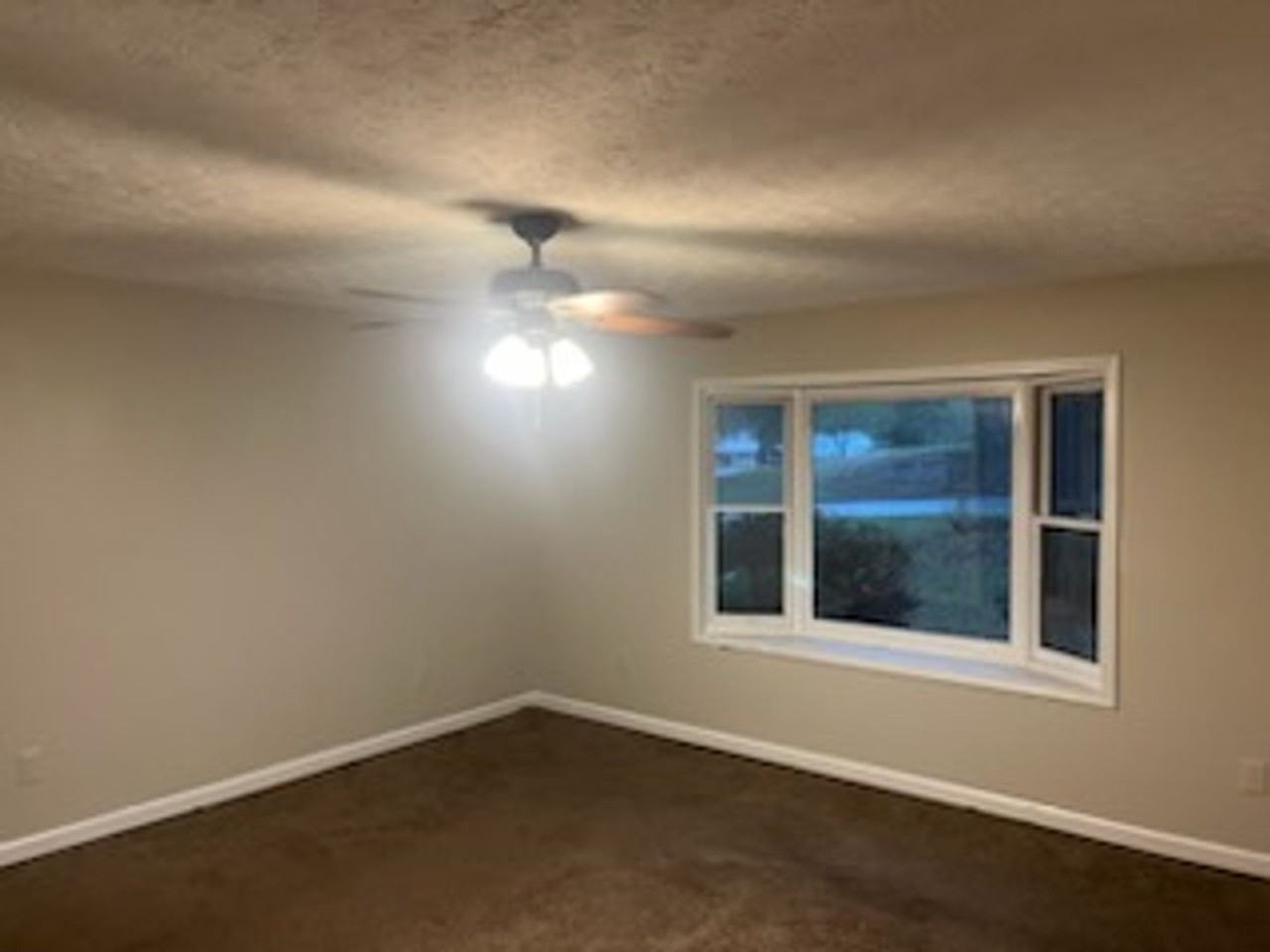 6953 Lodgepole Dr - Photo 3 of 23