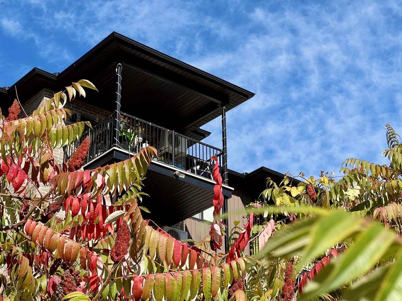 160/170 Rue de la Fabrique - Photo 6 of 7