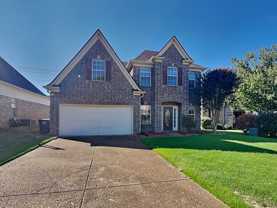 2283 Purple Leaf Cv - Photo 1 of 1