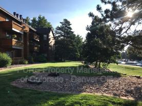 427 Wright St #8-303 - Photo 1 of 1