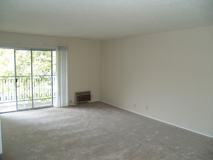 Donohue - Photo 1 of 1