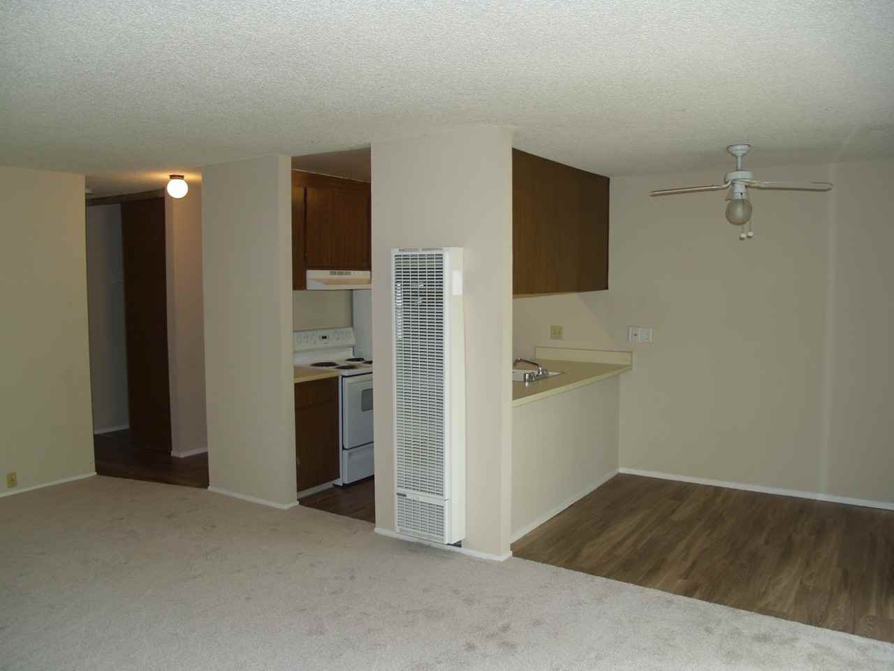 Donohue - Photo 2 of 17