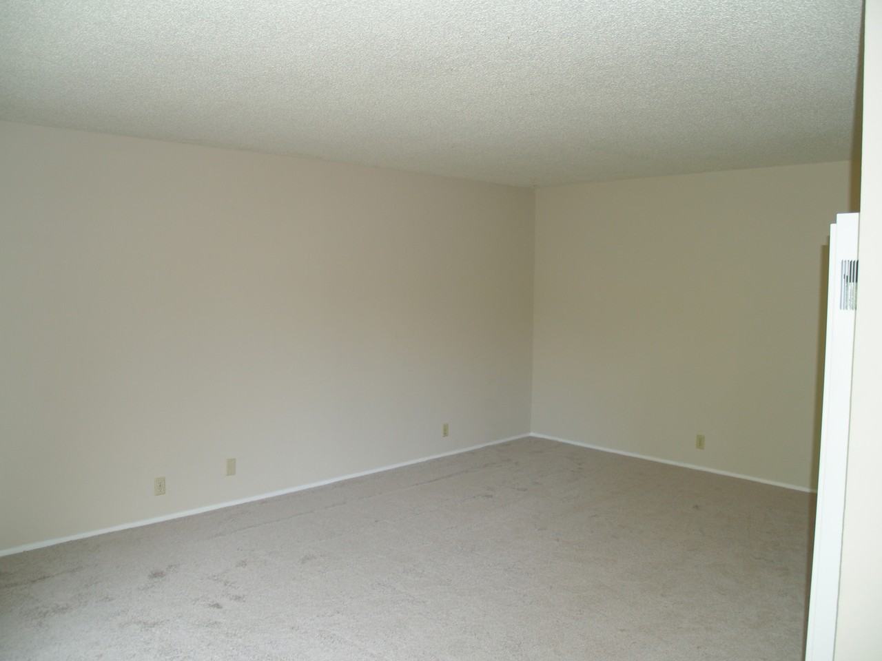 Donohue - Photo 4 of 17