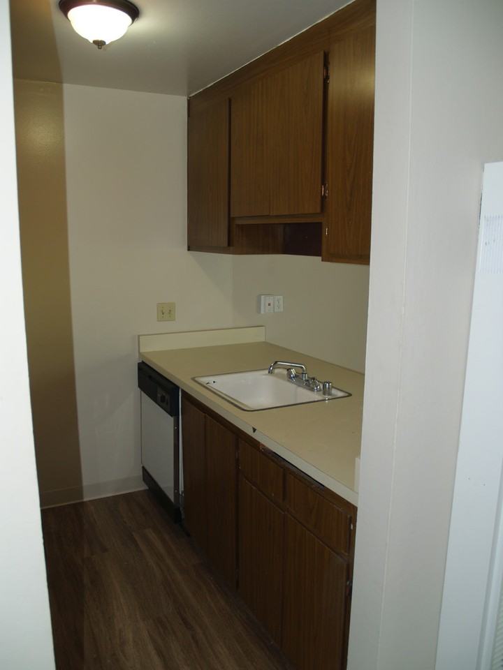 Donohue - Photo 6 of 17