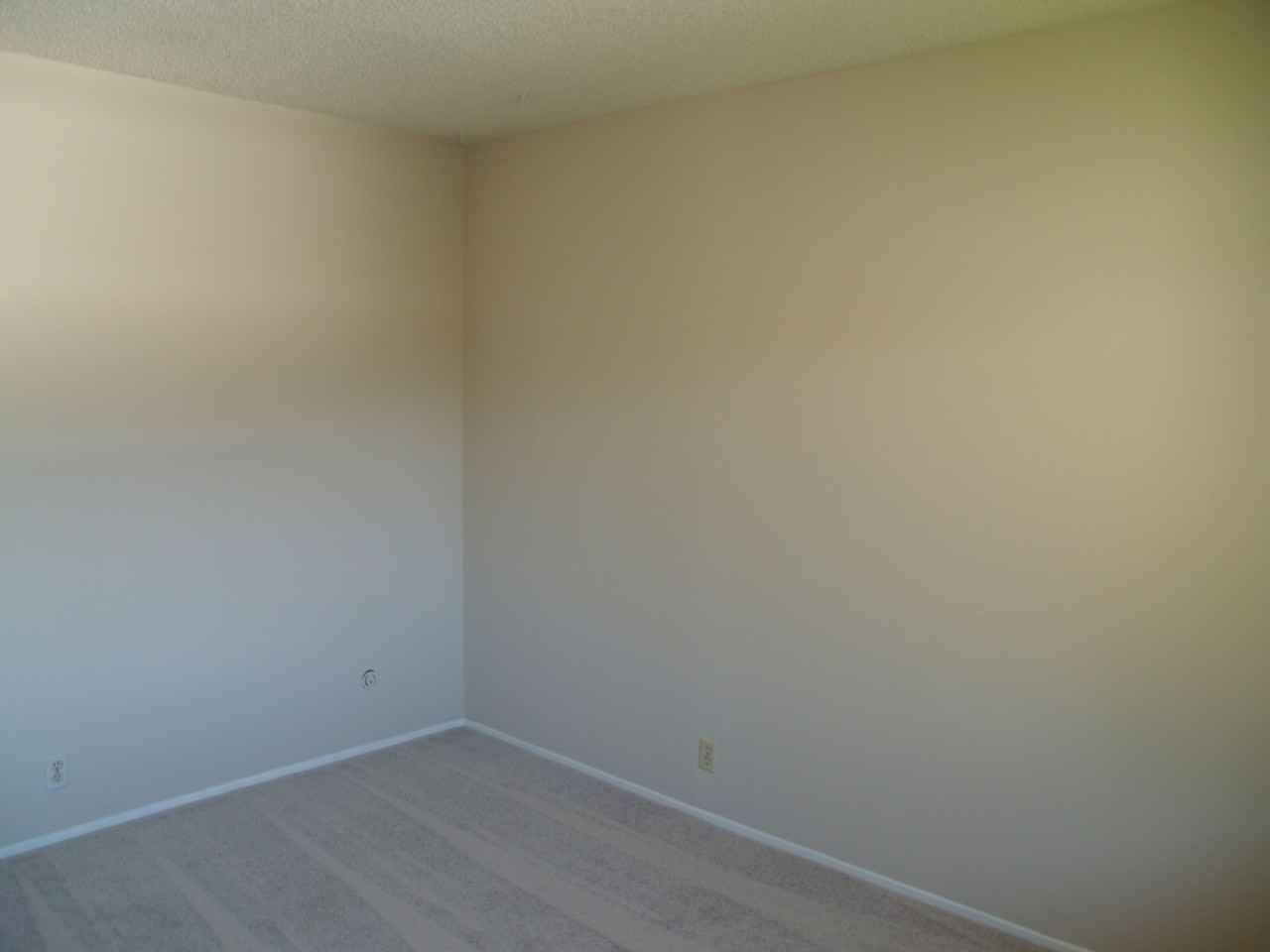 Donohue - Photo 7 of 17