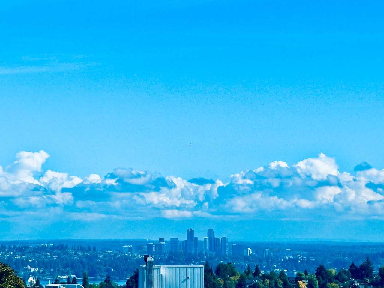 Tanglewood Apartments - Photo 3 of 4