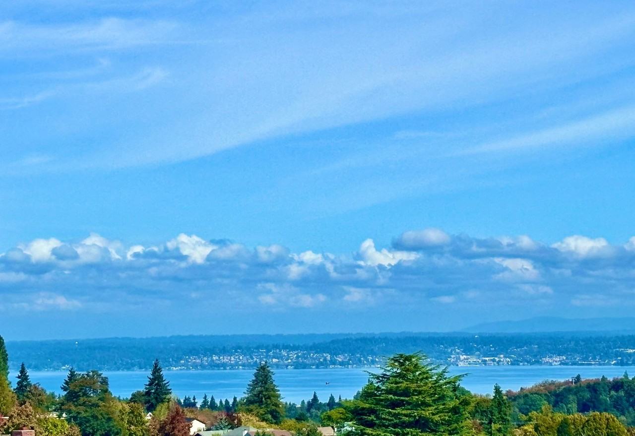 Tanglewood Apartments - Photo 4 of 4