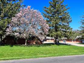 207 S Pfeffer Rd #A - Photo 1 of 1