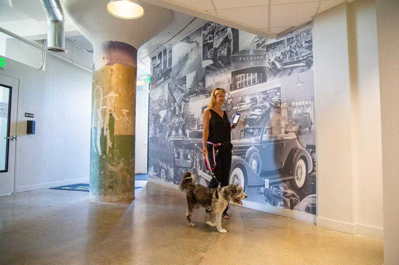 40 Hague - Photo 5 of 30