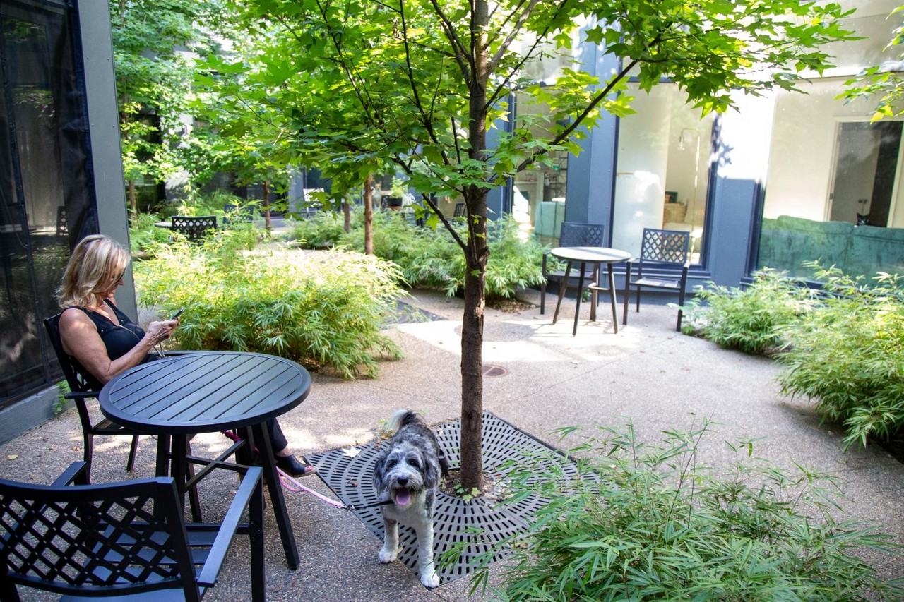 40 Hague - Photo 7 of 30