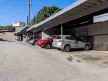 Garfield - Photo 1 of 1