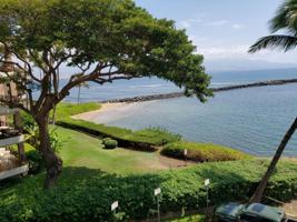 featured image of 20 Hauoli St #311