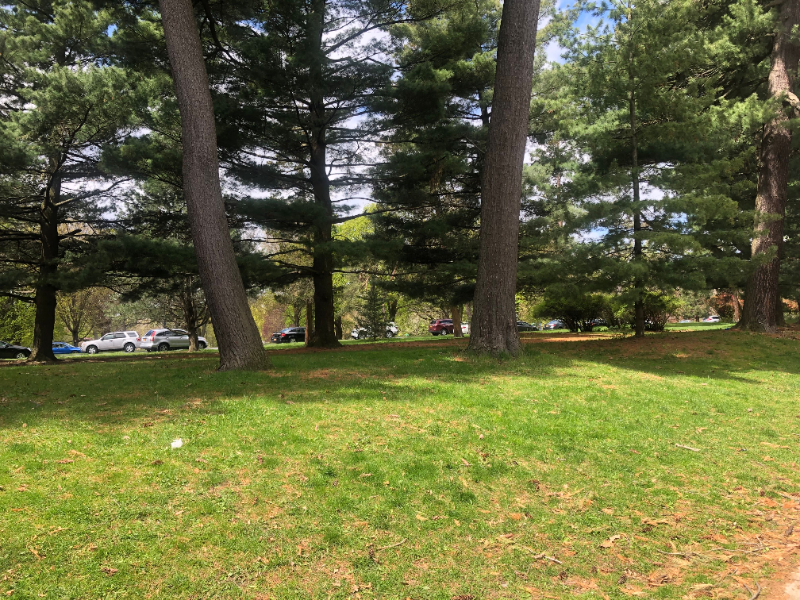 437 State St #1 - Photo 3 of 30