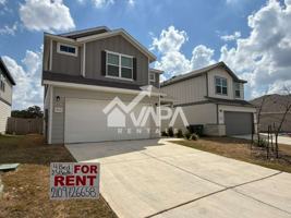 featured image of 11232 Long Rider