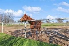 650 Spring Hill Rd - Photo 1 of 1