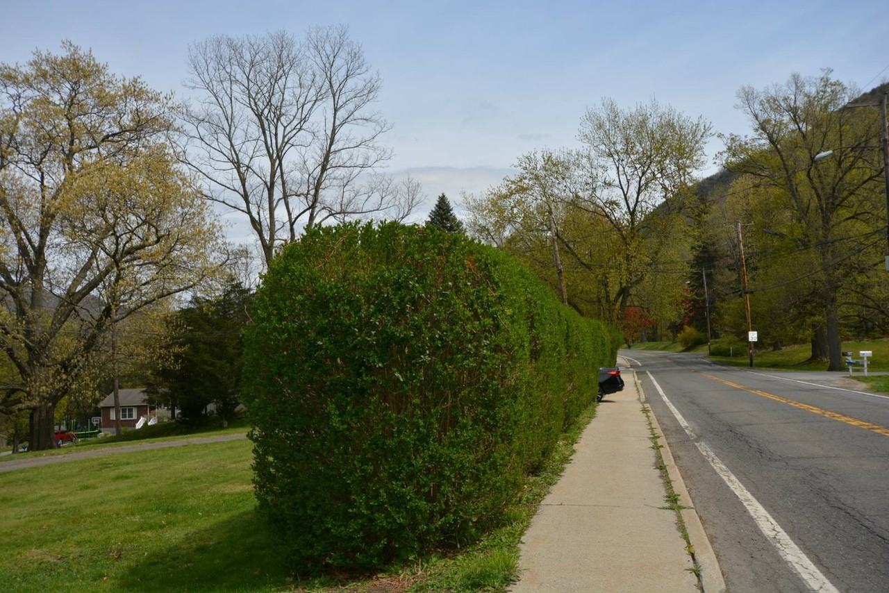 99 Bay View Ave #LOT1 - Photo 4 of 24