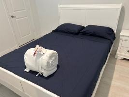 featured image of 5000 Armina Pl