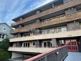 4444 44th Avenue Southwest #402 - Photo 1 of 1