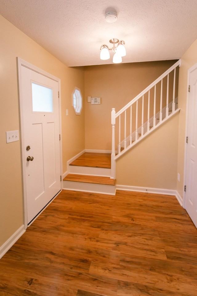 448 Lemon Drop Ln - Photo 7 of 37