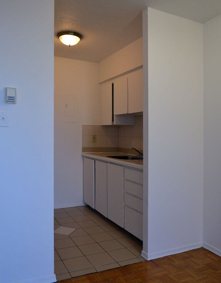 3475 Rue Saint-Urbain - Photo 7 of 29