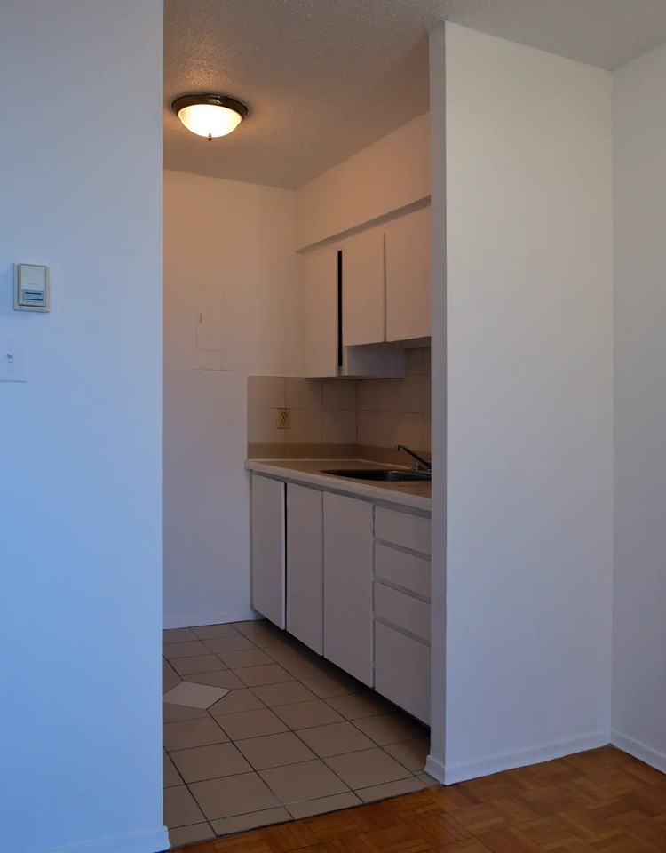3475 Rue Saint-Urbain — photo 3
