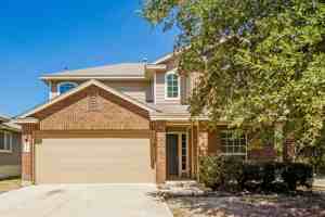 featured image of 110 Golden Wren