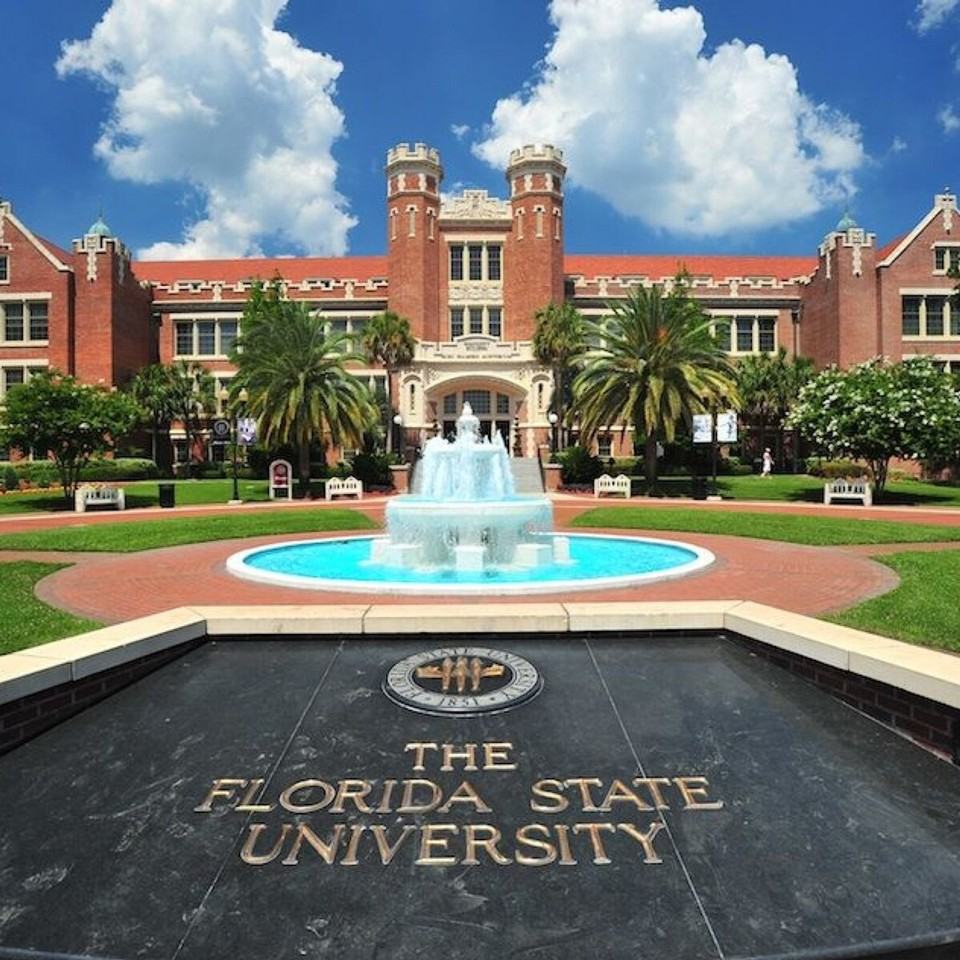 221 Cactus St #1319921P - Photo 4 of 27