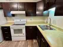 1703 Sawyer Dr - Photo 1 of 1
