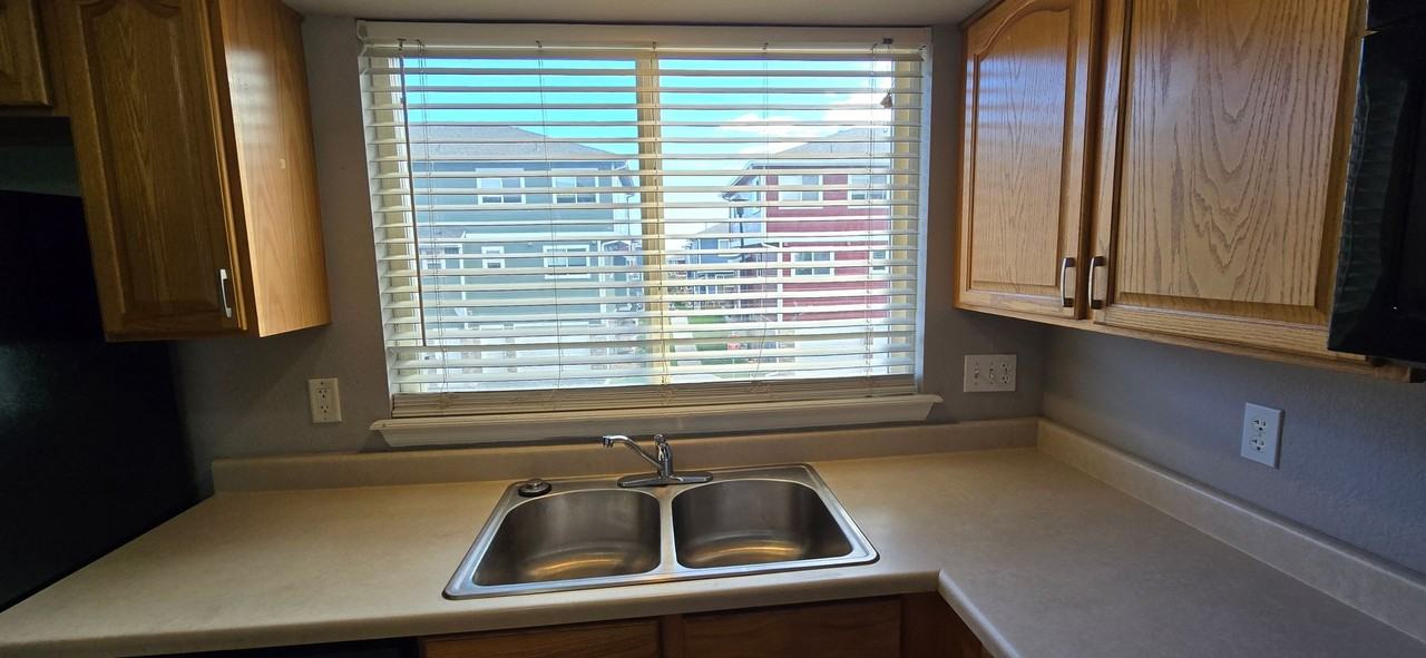 12023 Krameria St - Photo 3 of 17