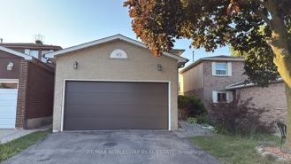 40 Gray Crescent #BSMT - Photo 1 of 1