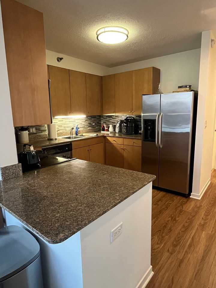 520 N Kingsbury St #4407 - Photo 4 of 15