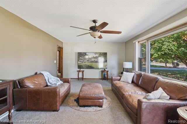 245 Lynbrook Dr - Photo 6 of 50