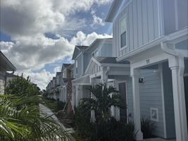 featured image of Little Palm Way