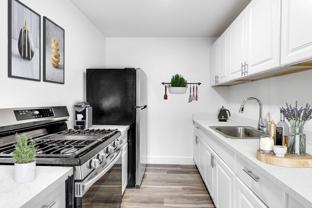 Lerwick - Photo 1 of 1