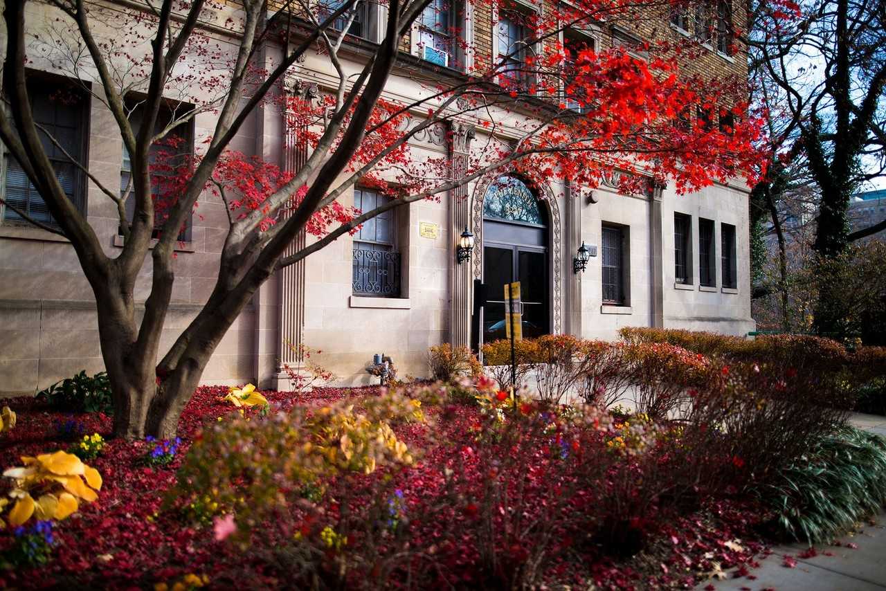 The Zenith - Photo 3 of 8