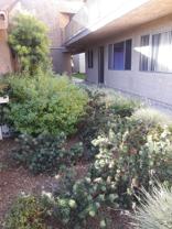 Villa Gardens Apts - Photo 1 of 1