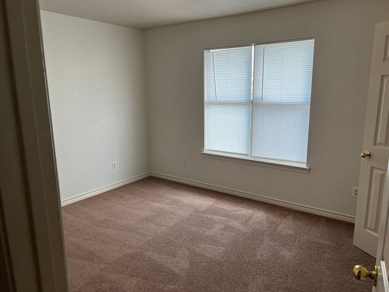 2517 Schwald Rd - Photo 4 of 10