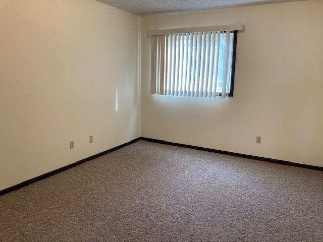 1802 W 38th St - Photo 3 of 7